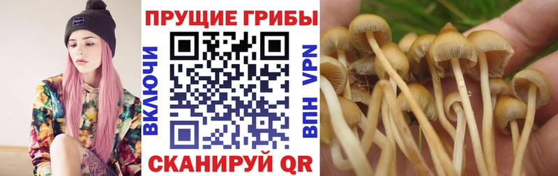 Галлюциногенные грибы ЛСД Иваново